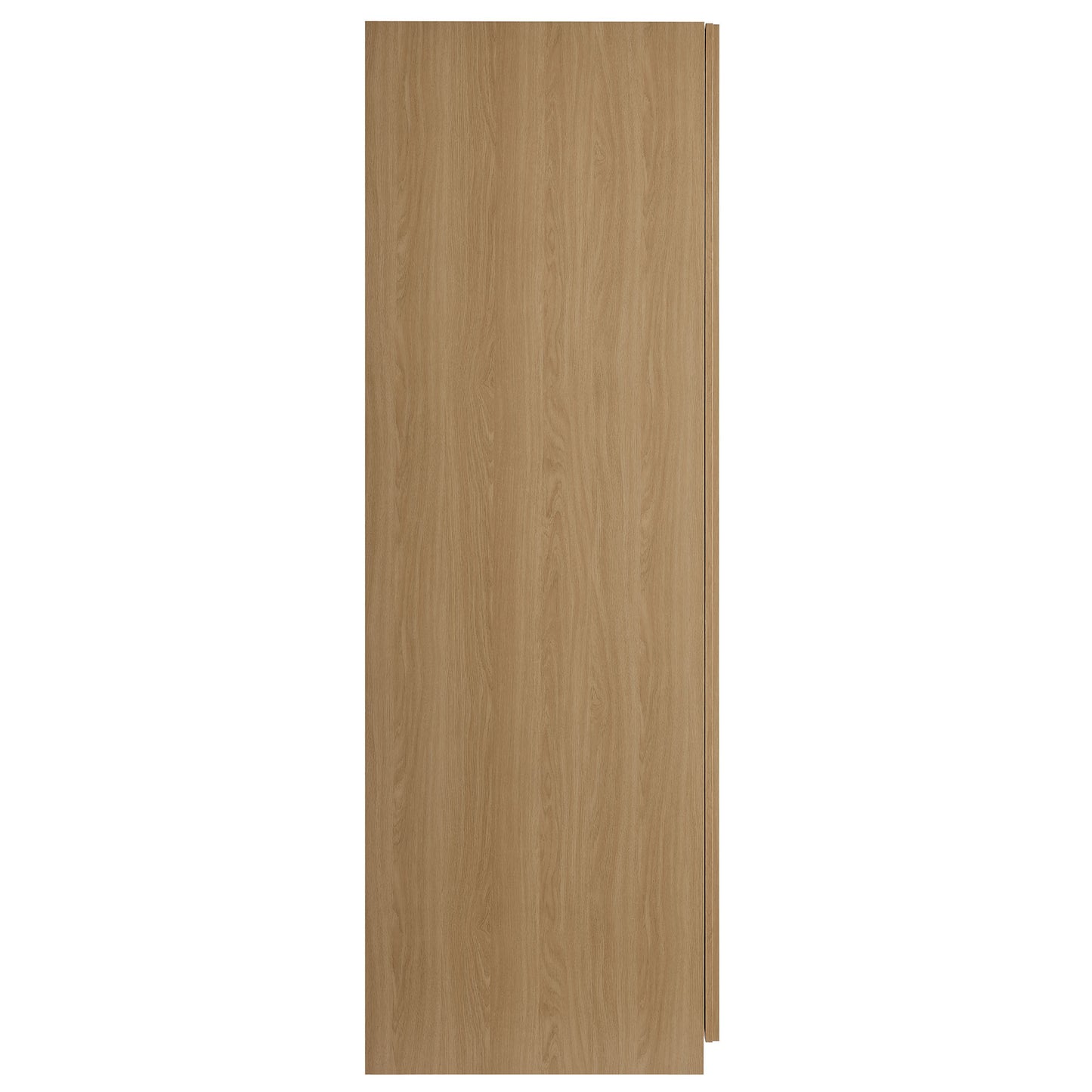 Render 2-Door Wardrobe Closet  in Oak